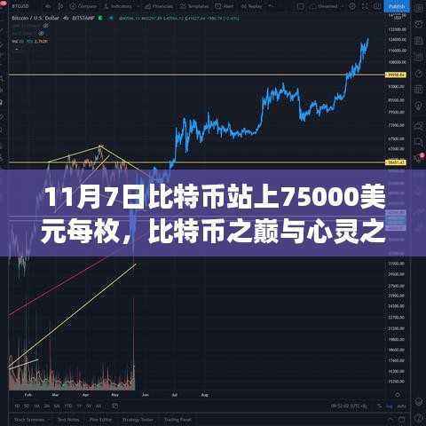 第1143页