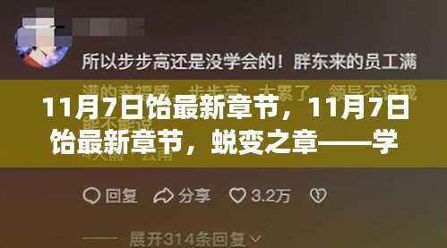 蜕变之章,学习、自信与成就感的奇妙旅程(最新章节更新)