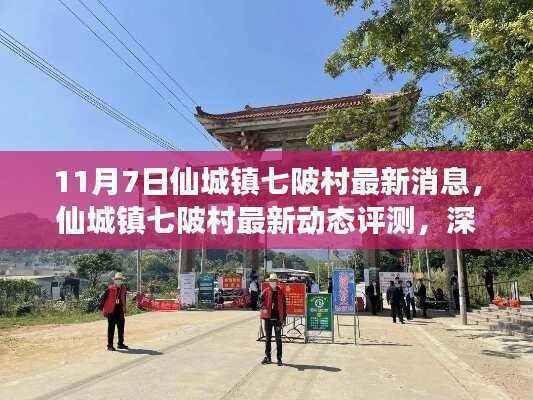 仙城镇七陂村最新动态深度解析,特性、体验与目标用户群体分析