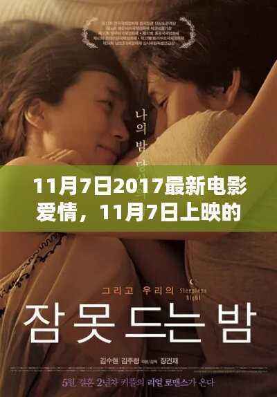 最新爱情电影测评与介绍,2017年11月7日上映电影一览