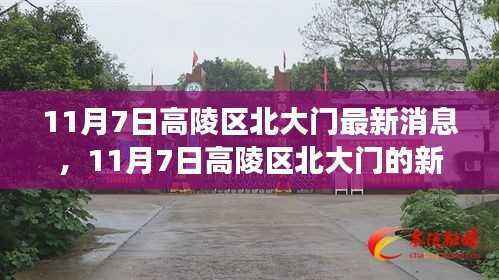 11月7日高陵区北大门新篇章,变化中的学习之旅,自信与成就感的魔法之门开启