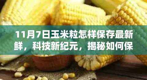 科技新纪元揭秘,最新鲜玉米粒保存神器,如何保持玉米粒新鲜如初(11月7日指南)