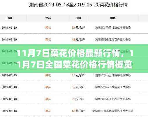 11月7日全国菜花价格行情概览及市场分析,最新市场动态解析