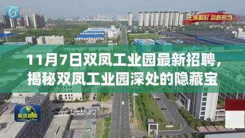 双凤工业园招聘盛事揭秘,隐藏宝藏与小巷特色小店招募人才