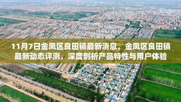 金凤区良田镇最新动态评测及深度剖析,产品特性与用户体验观察