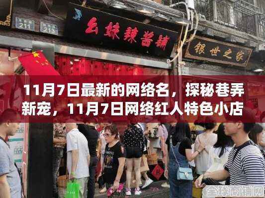 探秘巷弄新星,揭秘网络红人特色小店,11月7日最新潮流指南