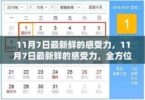 11月7日最新感受力,全方位指南助你掌握新技能与感受力提升的魅力体验