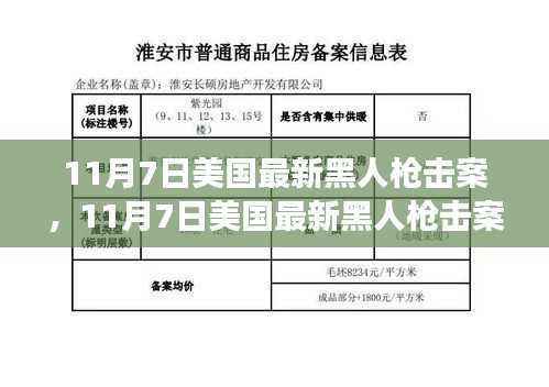 美国最新黑人枪击案深度揭示社会问题的背后真相