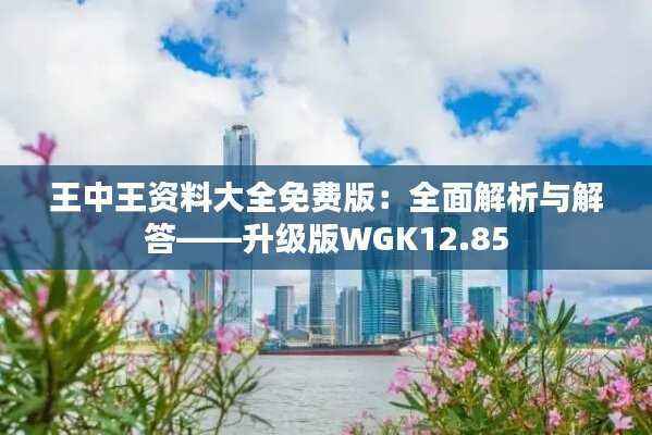 王中王资料大全免费版:全面解析与解答——升级版WGK12.85