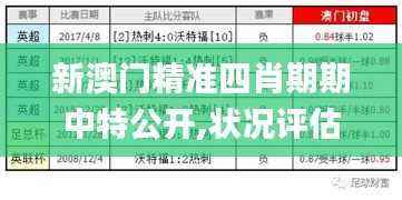 新澳门精准四肖期期中特公开,状况评估解析_自助版LPT402.76