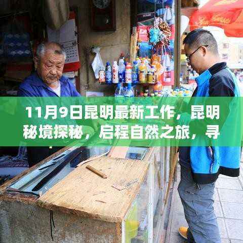 昆明秘境探秘之旅,启程自然之旅,寻找内心的宁静与和谐(最新工作)