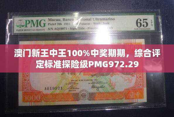 澳门新王中王100%中奖期期,综合评定标准探险级PMG972.29