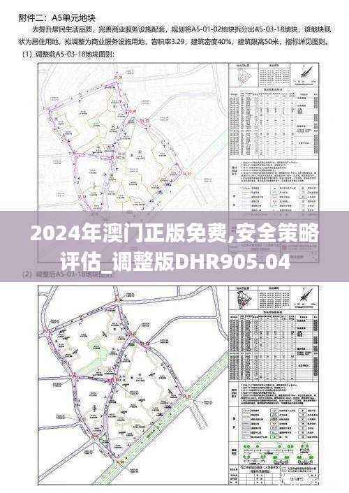 2024年澳门正版免费,安全策略评估_调整版DHR905.04