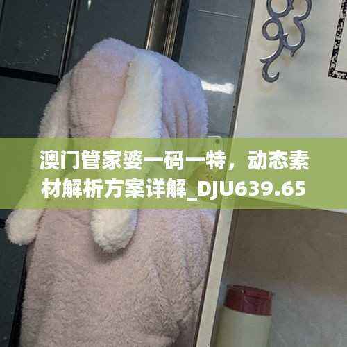 澳门管家婆一码一特,动态素材解析方案详解_DJU639.65