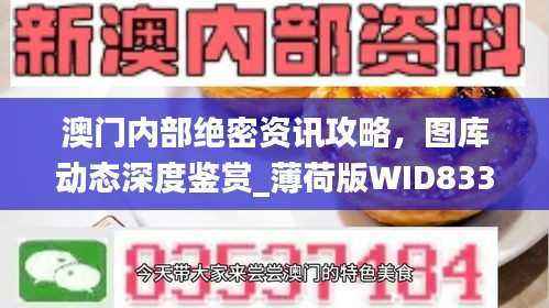 澳门内部绝密资讯攻略,图库动态深度鉴赏_薄荷版WID833