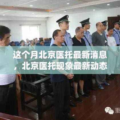 北京医托现象最新动态，本月消息、影响及各方观点分析