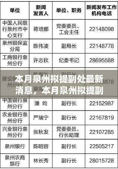 本月泉州拟提副处动态,多方观点解析与个人立场阐述