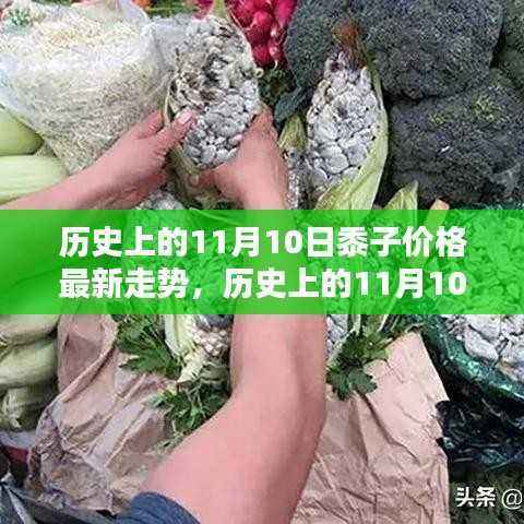 历史上的11月10日黍子价格走势深度解析及最新市场动态