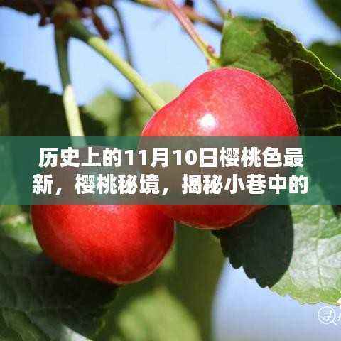 历史上的11月10日,樱桃色揭秘与独特风味探索