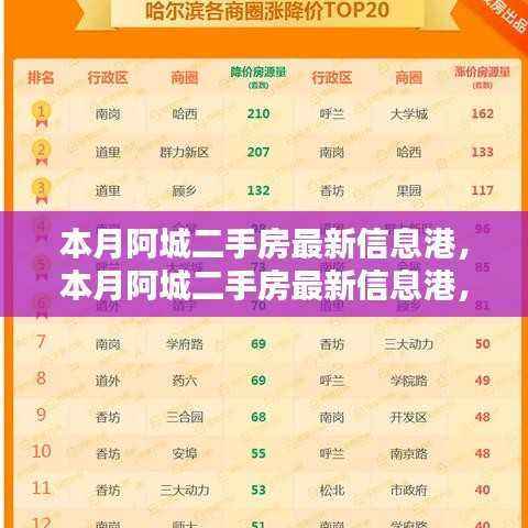 本月阿城二手房最新信息港,全面指南教你轻松获取心仪房源