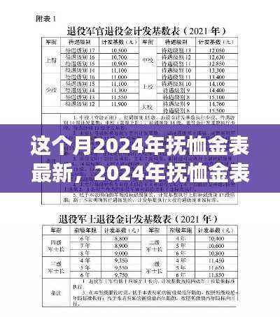 2024年抚恤金表更新,变化中的学习之旅,自信与成就感的鼓舞之路