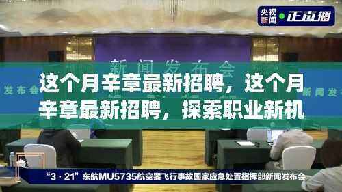 辛章最新招聘启幕,探索职业新机遇,共筑未来梦想之路