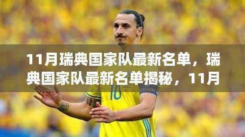 瑞典国家队最新名单揭秘,11月的力量分布与足球强国地位重塑之路