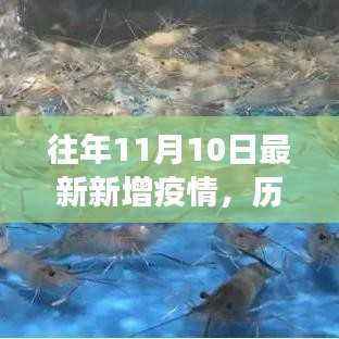 历年11月10日疫情数据深度解析，特性、体验、竞品对比及用户洞察报告
