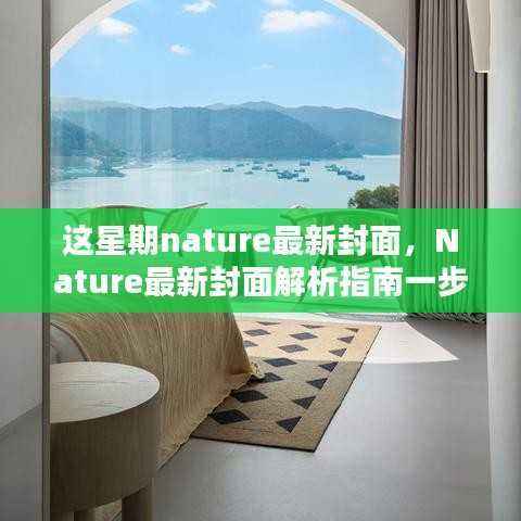 Nature最新封面探索科研美学的奥秘,封面解析指南