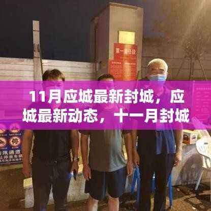 应城最新封城动态,十一月下的生活与希望