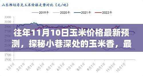 探秘小巷深处的玉米香与美食宝藏,最新玉米价格预测报告出炉!