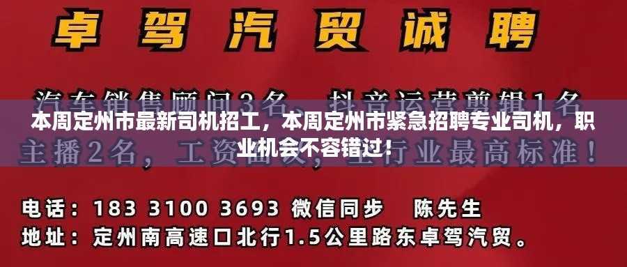 定州市紧急招聘专业司机,不容错过的职业机遇!