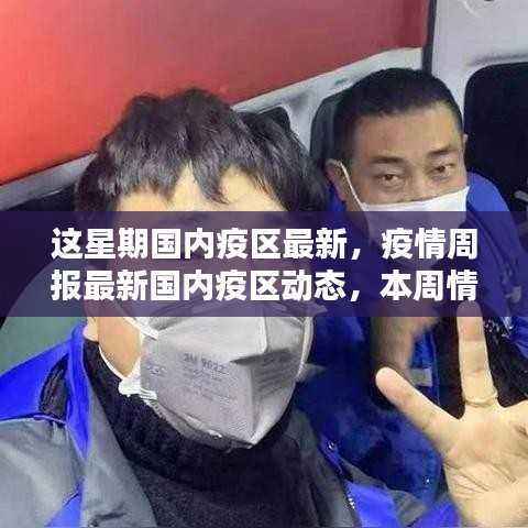 本周国内疫区最新动态深度解析,疫情周报与最新情况概览