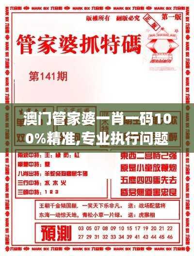 澳门管家婆一肖一码100%精准,专业执行问题_YWB983.64速成版