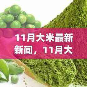 探索市场趋势与前沿动态,11月大米最新新闻速递