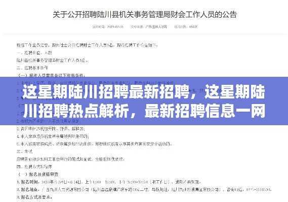 陆川本周招聘热点解析,最新招聘信息一网打尽