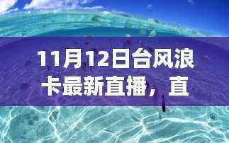 台风浪卡下的观察与观点,直播实录与多元视角