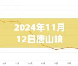 2024年11月唐山响水花园最新房价动态揭秘与解读