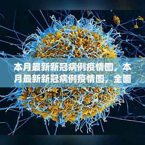 本月新冠病毒疫情图,全面解读传播态势与最新病例数据