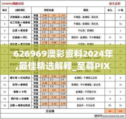 626969澳彩资料2024年,最佳精选解释_至尊PIX595.49
