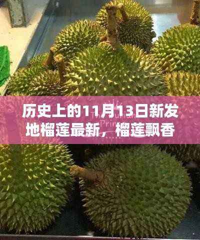 历史上的11月13日新发地榴莲传奇,飘香传奇的榴莲盛宴