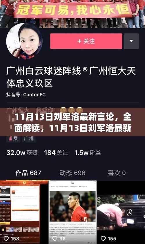 刘军洛最新言论深度解析,步骤指南与技能学习全攻略揭秘