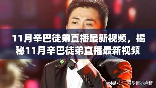 揭秘辛巴徒弟直播新动向,三大看点深度剖析11月最新视频