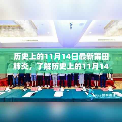 历史上的11月14日莆田肺炎事件详解,步骤指南与事件回顾