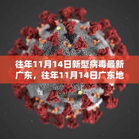 往年11月14日广东地区新型病毒深度评测与介绍,最新产品与动态分析