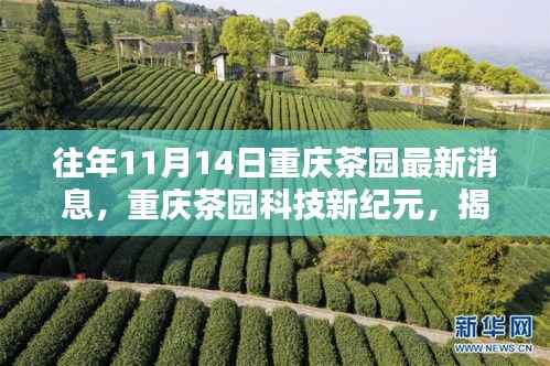 揭秘重庆茶园科技新纪元,高科技产品重塑生活品质的最新动态