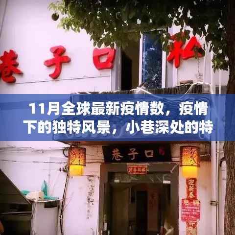 全球最新疫情数背后的独特风景,小巷特色小店的故事