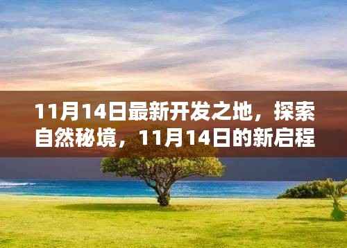 11月14日新启程,探索自然秘境,寻找内心宁静与平和之旅