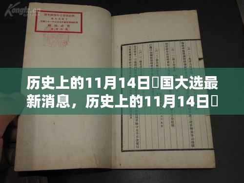 历史上的11月14日羑国大选最新动态,如何关注与参与选举过程