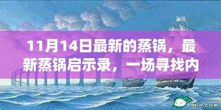 最新蒸锅启示录,寻找内心平静的奇妙旅程